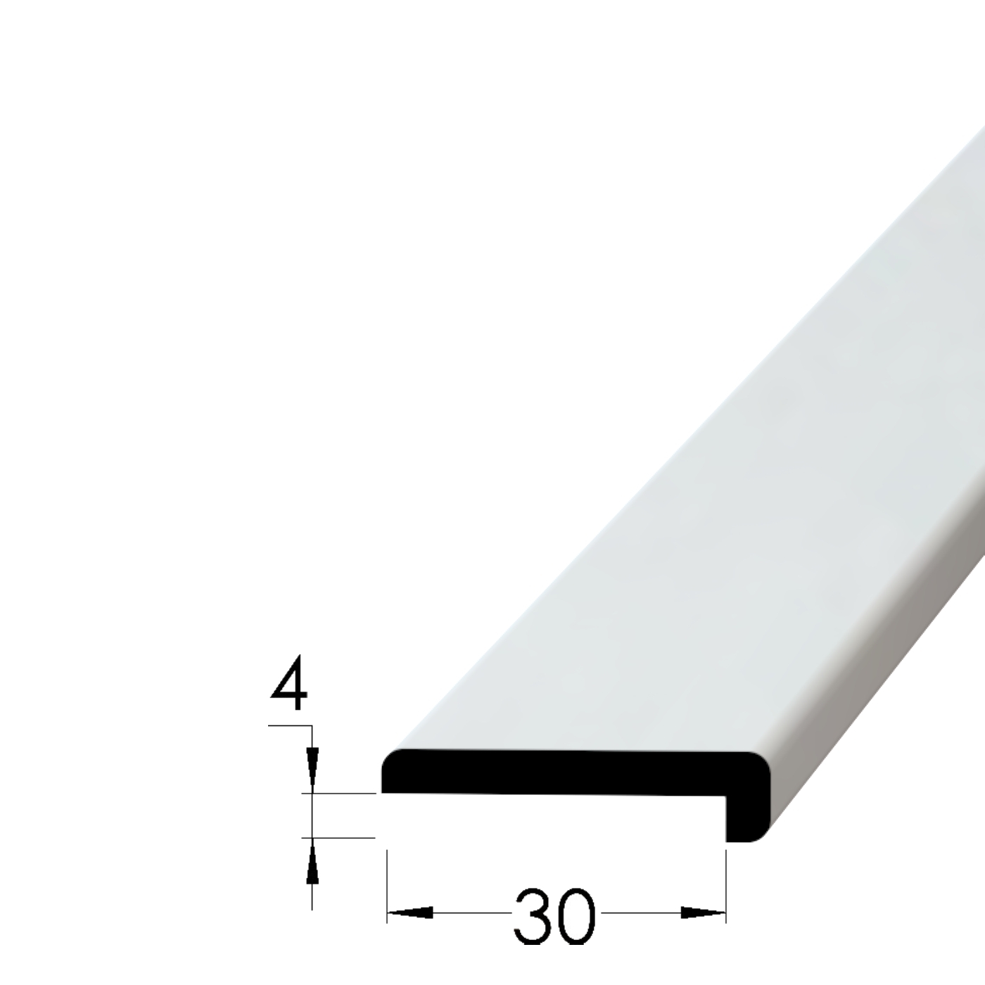 R 3004